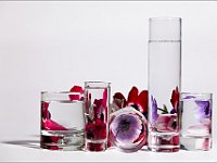 Fiori (3)